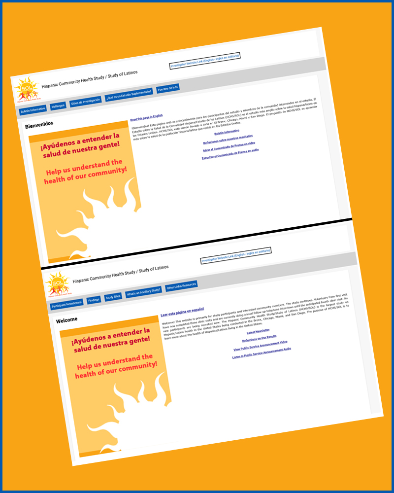 Screencapture of the Participants homepages in two languages